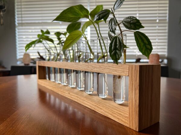 Product Image for  XL Oak Propagation Station
