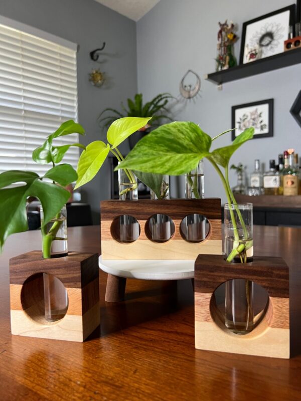 Product Image for  Tricolor Natural Propagation Station (Single)