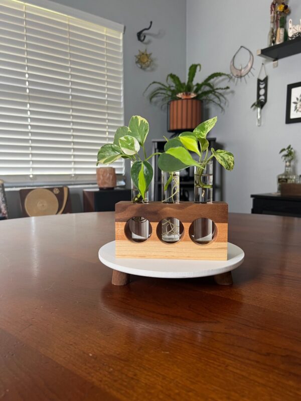 Product Image for  Tricolor Natural Propagation Station (Triple)