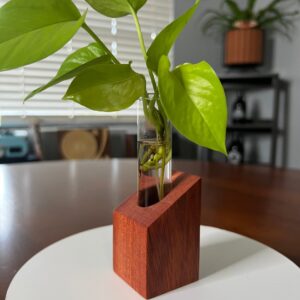 Product Image for  Bloodwood Propagation Station