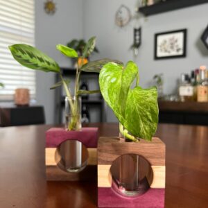 Product Image for  Tricolor Purpleheart Propagation Station (single)