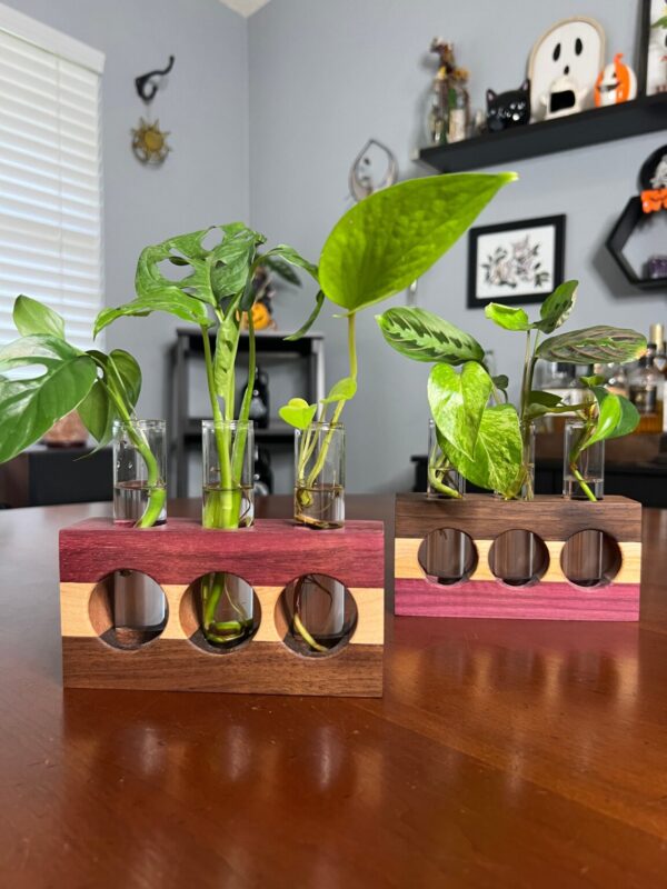 Product Image for  Tricolor Purpleheart Propagation Station (triple)