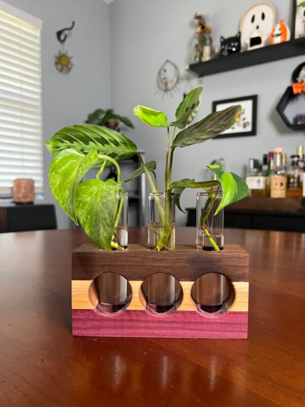 Product Image for  Tricolor Purpleheart Propagation Station (triple)