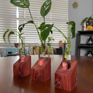 Product Image for  Red Cedar Propagation Station