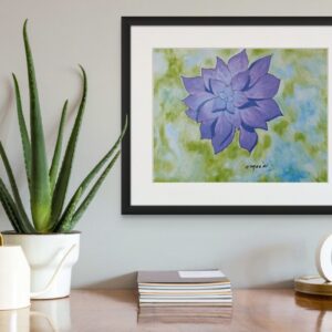 Product Image for  Purple Echeveria Succulent